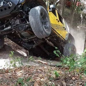 Meet your Posher, Hector